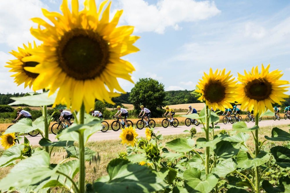 1a288ebf258273707de14e4288edc88e_1499678