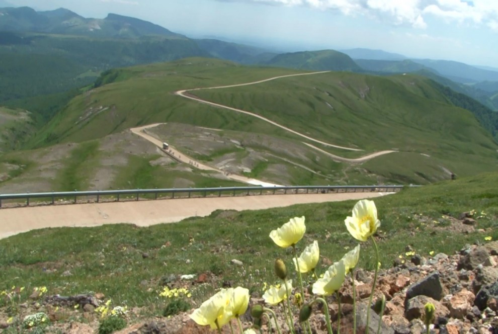 5132dd3bc473d4be6742bfb83f75d792_1465870