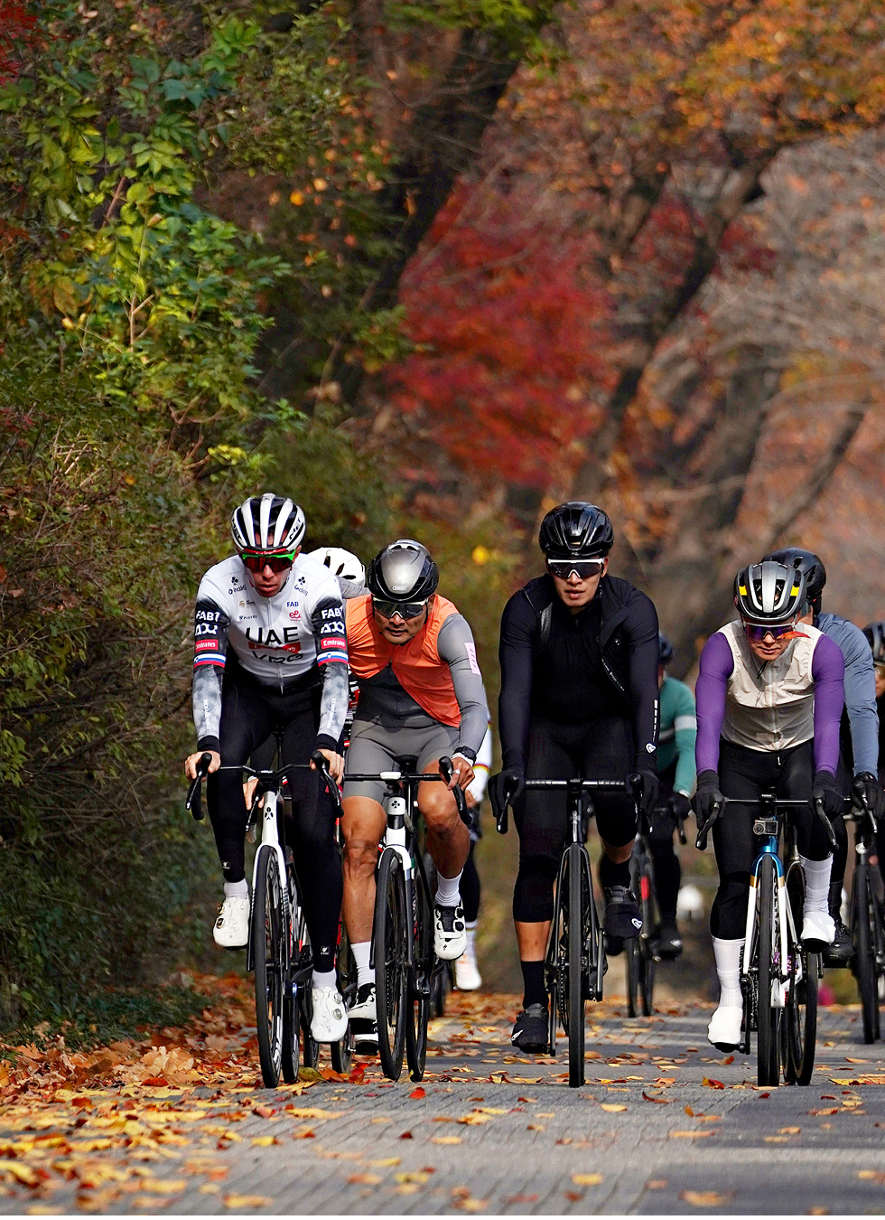 91a11273637e0cb2d640d078eb509ed3_1763435