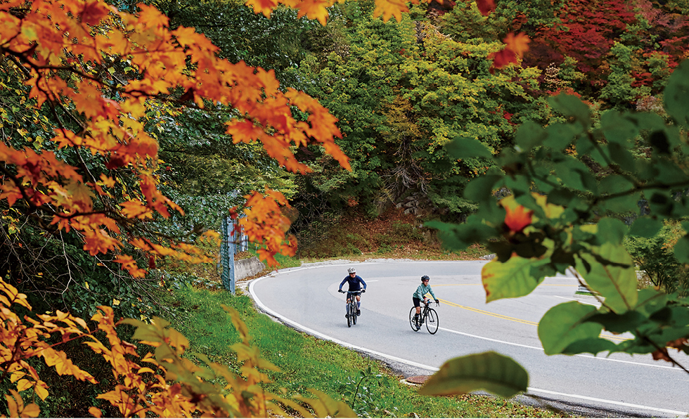 f078168e488813ec06ee002400c724cf_1510564329_0572.jpg f078168e488813ec06ee002400c724cf_1510564